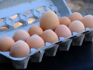 Photo of the Week: Oversized Egg! Image